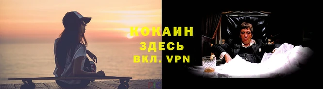 не бодяженный Арсеньев