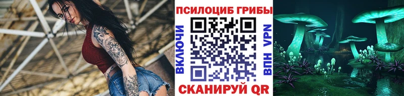Псилоцибиновые грибы Psilocybine cubensis  Аркадак 